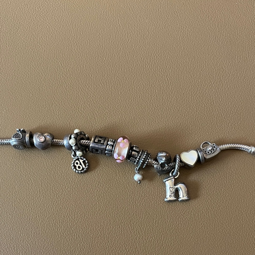 Pandora Bracelet and Charms